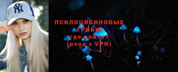 гашик Наволоки
