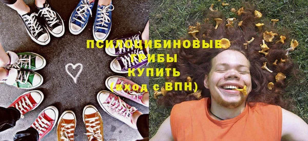 ПСИЛОЦИБИНОВЫЕ ГРИБЫ Михайлов