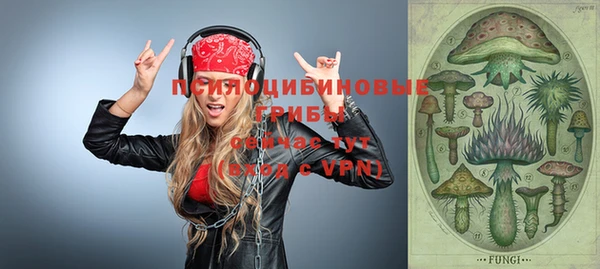 гашик Наволоки
